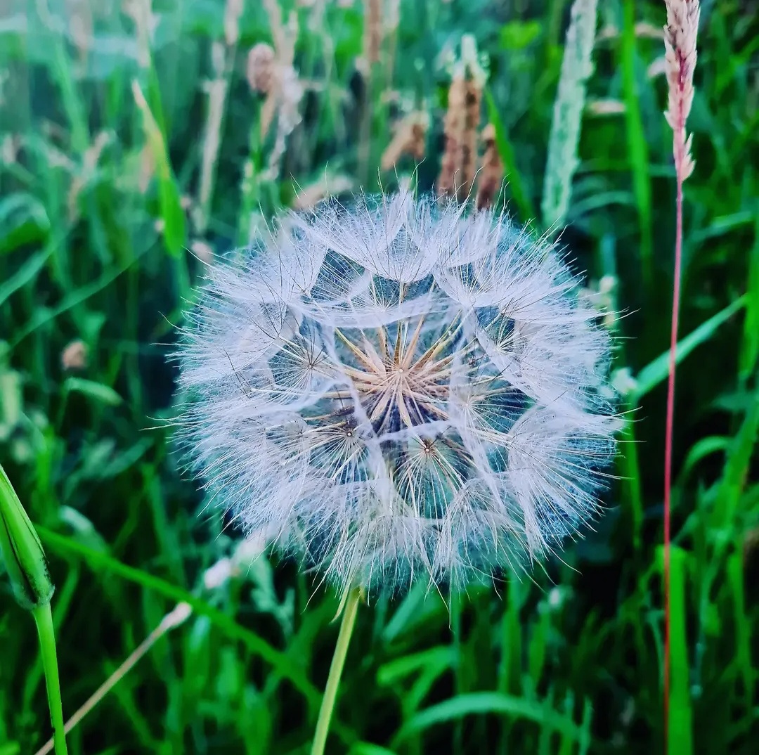 Hypnotherapy and CBT in Norfolk and the UK at The Uncluttered Mind